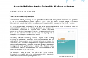 AccountAbility Updates Sustainability & Performance Guidance