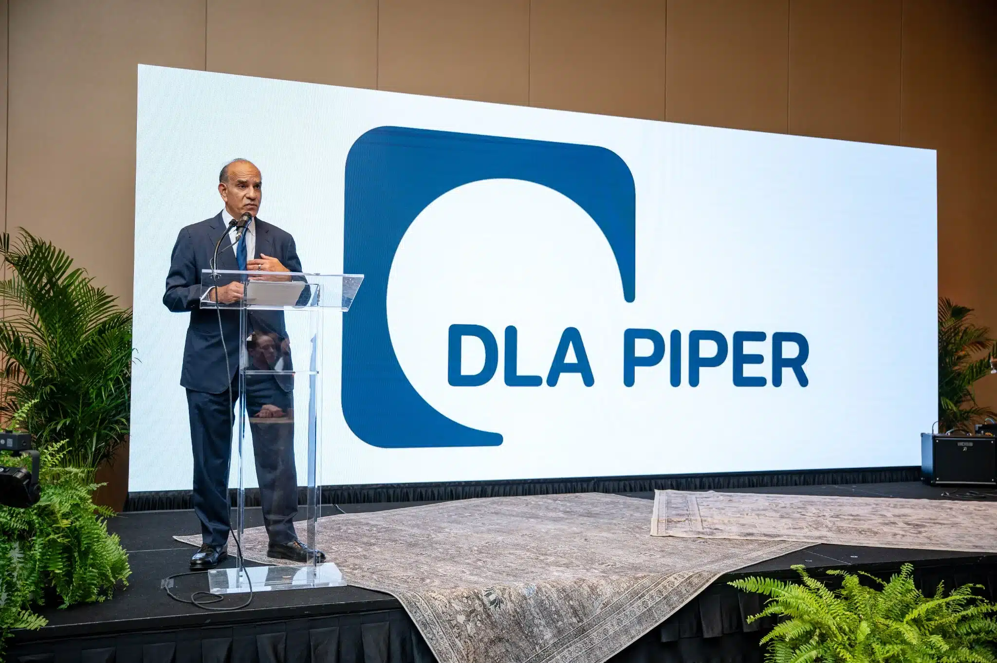 Remarks by Michael McGuinness of DLA Piper